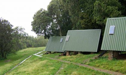 Mandara huts camp on Mount Kilimanjaro