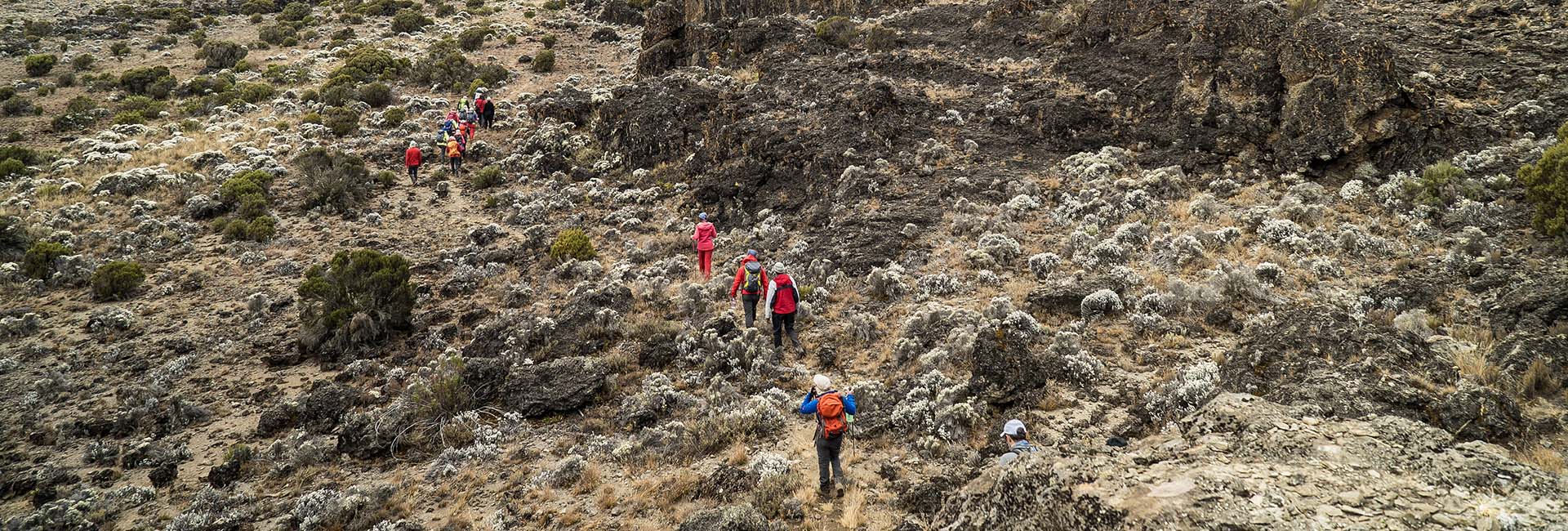 Mountain Trekking Preparation