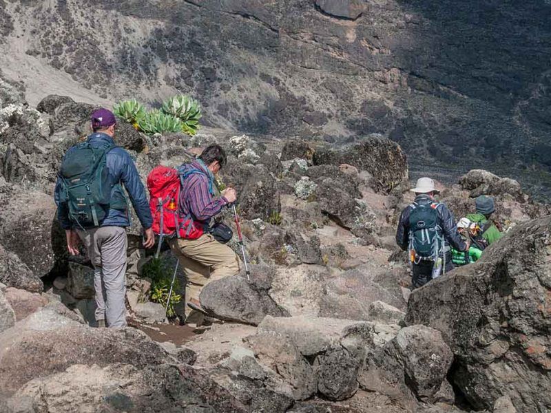 Kilimanjaro FAQ