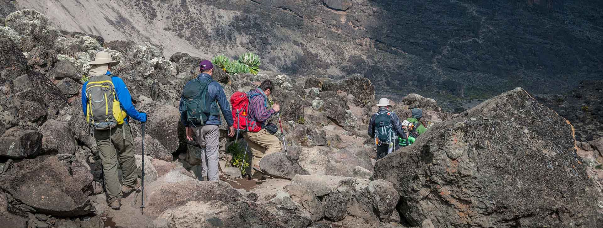 Kilimanjaro FAQ