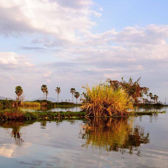 Selous Game Reserve (1)