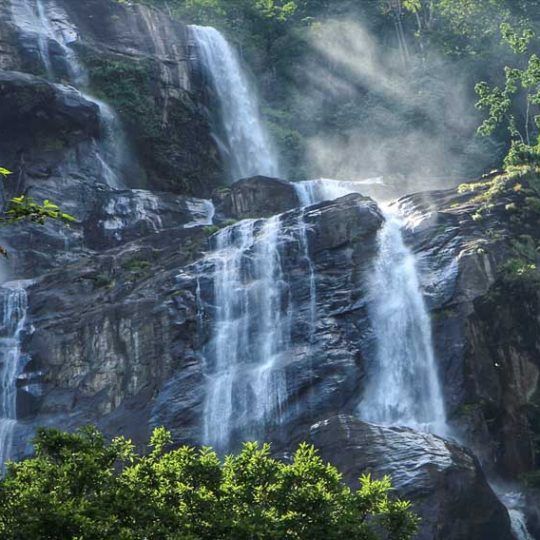 Udzungwa Mountains 1