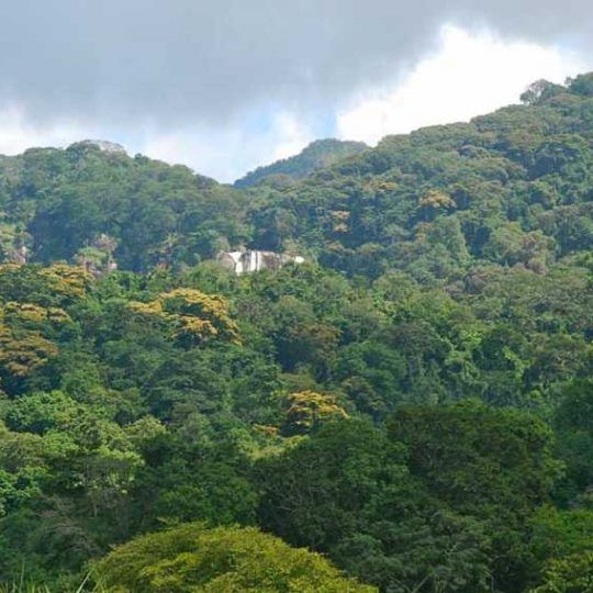 Udzungwa Mountains 2
