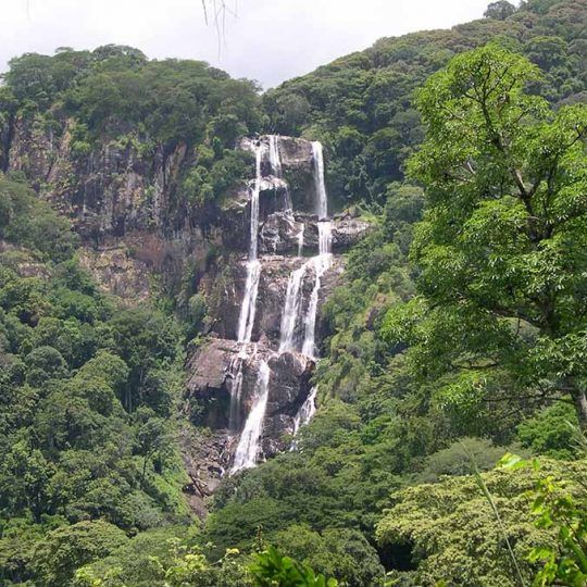 Udzungwa Mountains National Park f