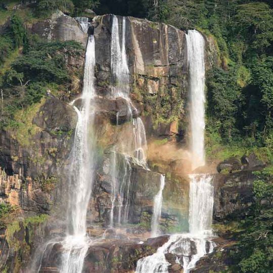 Udzungwa_mountains-1a