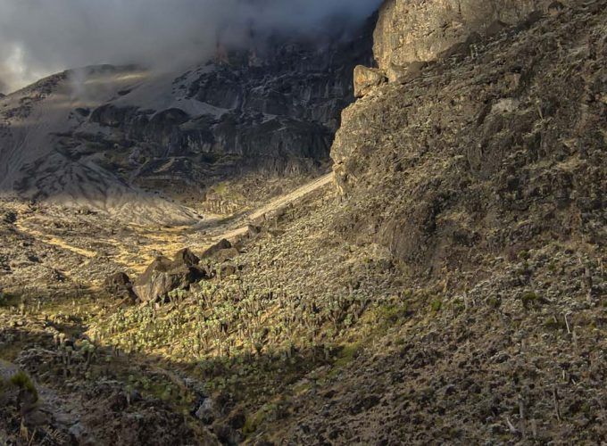 Kilimanjaro Climb - Lemosho Route
