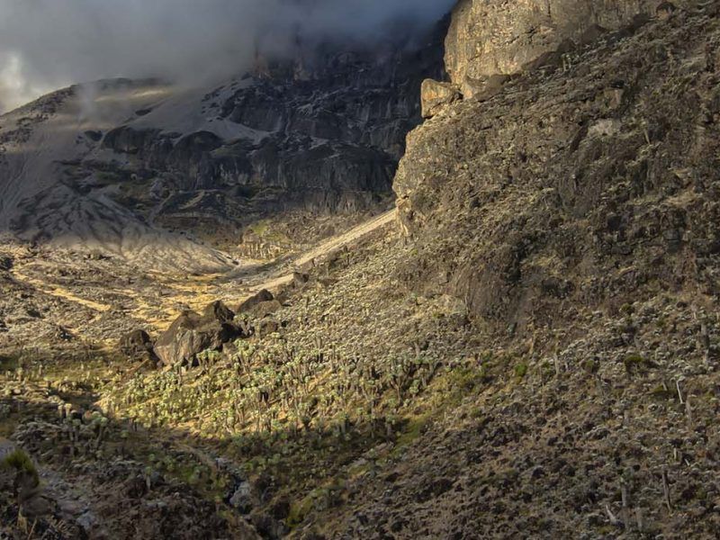 Kilimanjaro Climb - Lemosho Route
