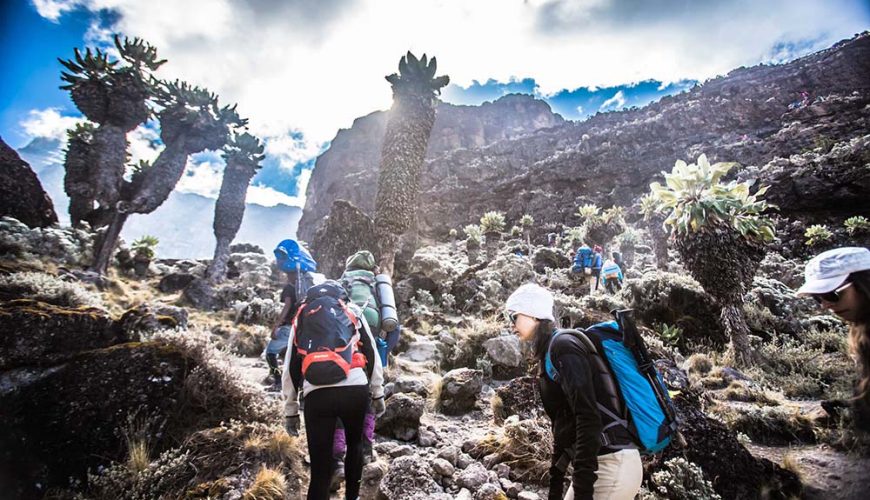 Mount Kilimanjaro