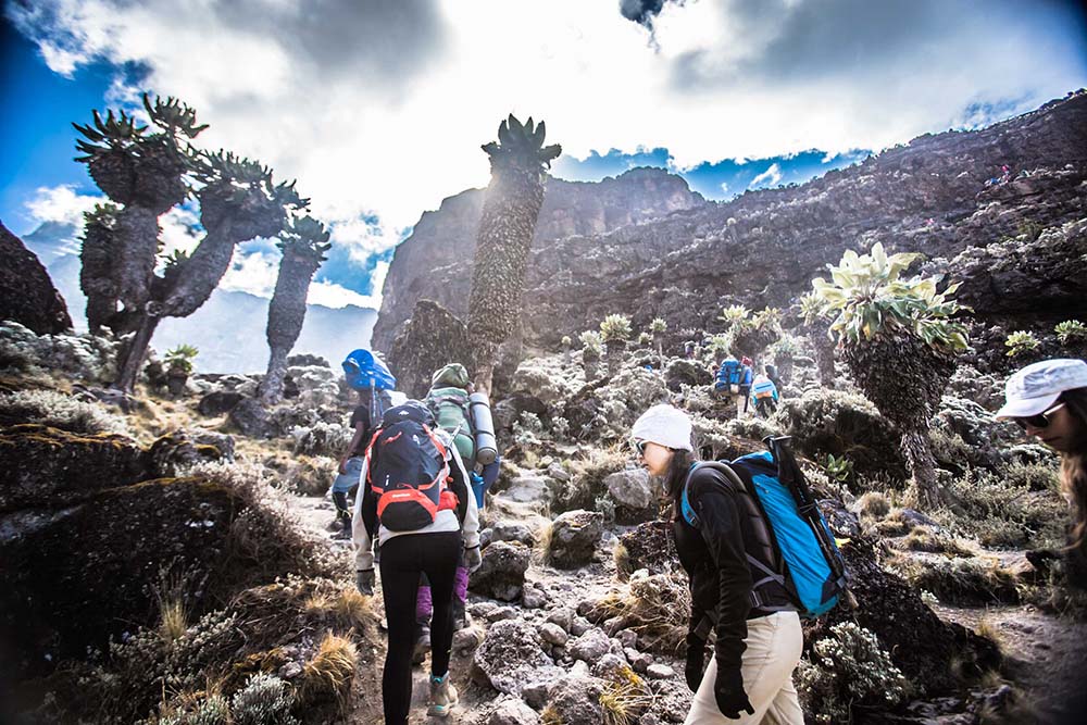 Mount Kilimanjaro