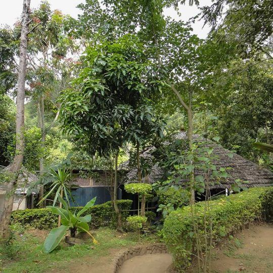 marangu village