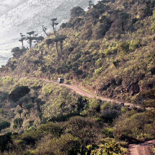 ngorongoro 1c