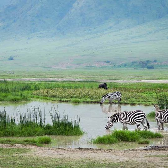ngorongoro 2 (4)
