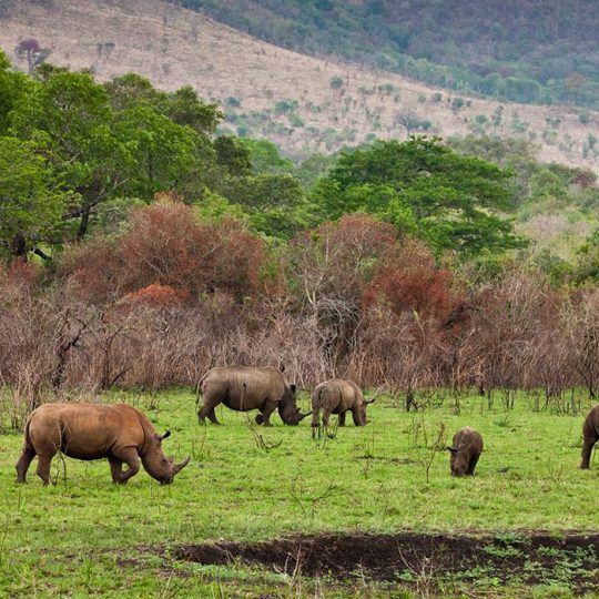 ngorongoro (6)