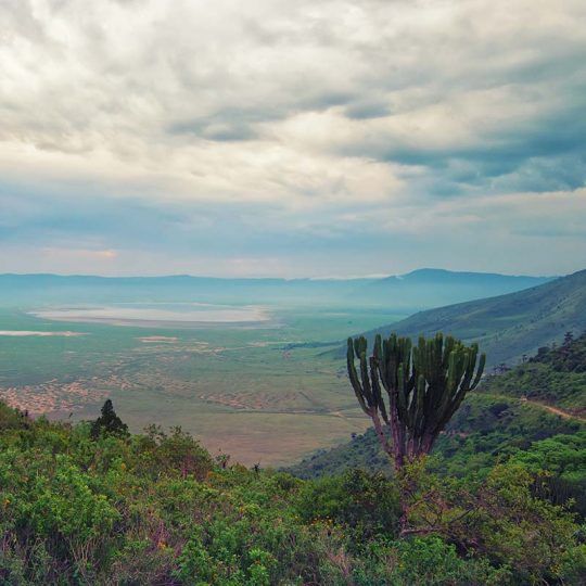Scenic view from the rim of Ngorongoro crater, Tanzania