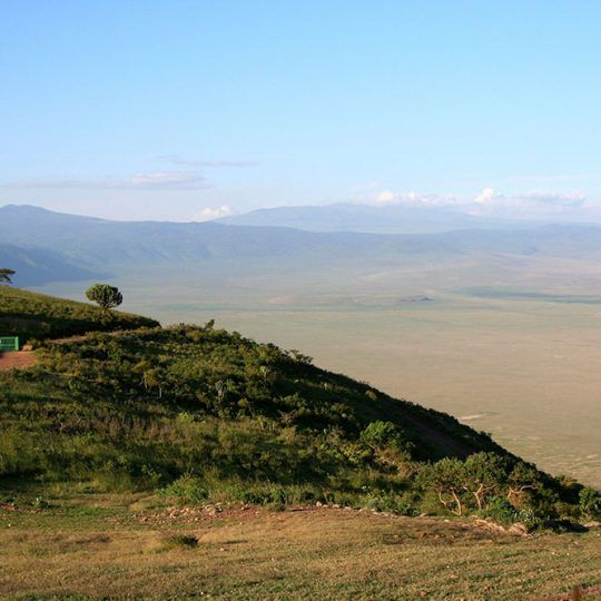 5877411 - view into ngorongoro crater, tanzania from the rim