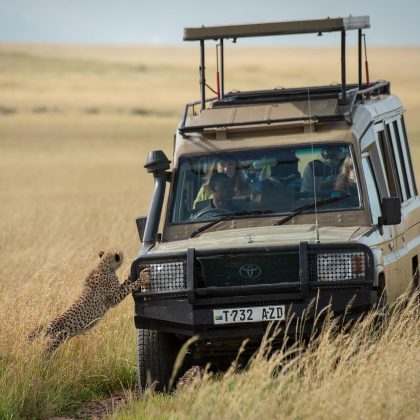 Amazing Northern Tanzania Safari