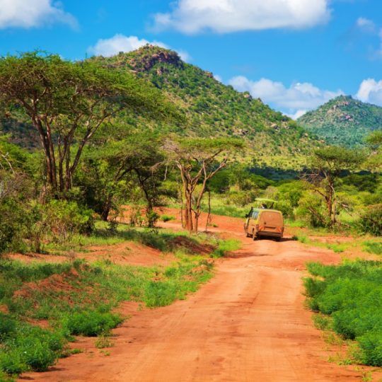 18262093 - red ground road and bush with savanna landscape in africa. tsavo west, kenya.
