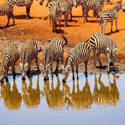 amboseli 1
