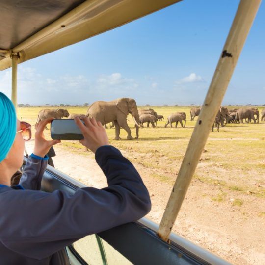 maasai mara (6)