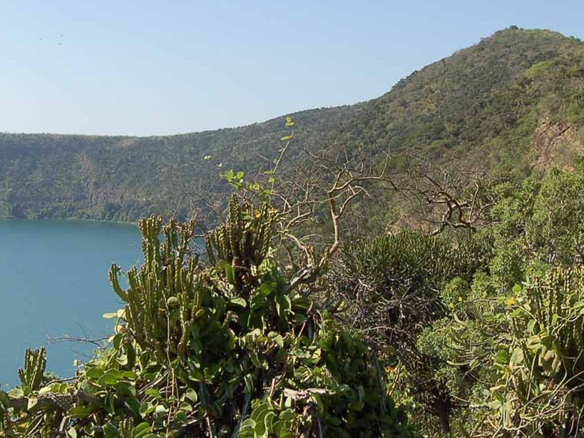 Whether you’re looking to take a day off to escape from your busy schedule or you have no plans before your evening flight and you want to do something adventurous, our day trips are the solution.