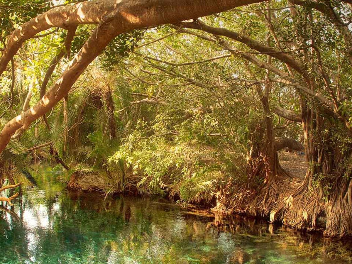 Whether you’re looking to take a day off to escape from your busy schedule or you have no plans before your evening flight and you want to do something adventurous, our day trips are the solution.