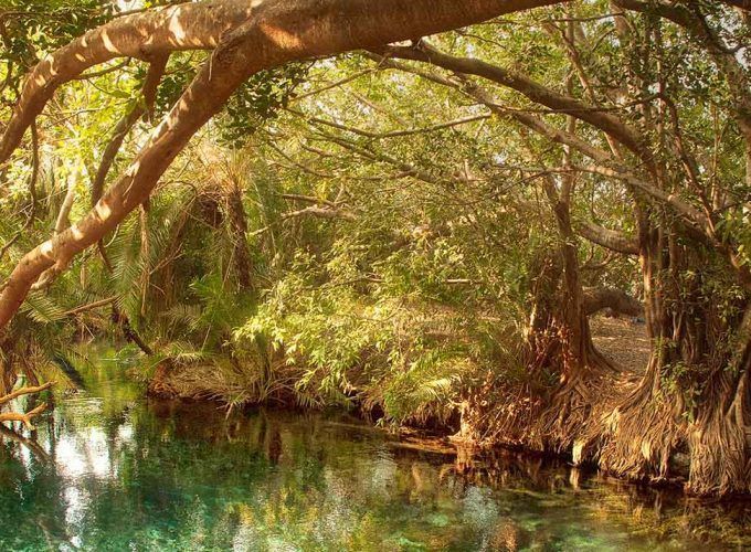 Kikuletwa (Chemka) Hot Springs
