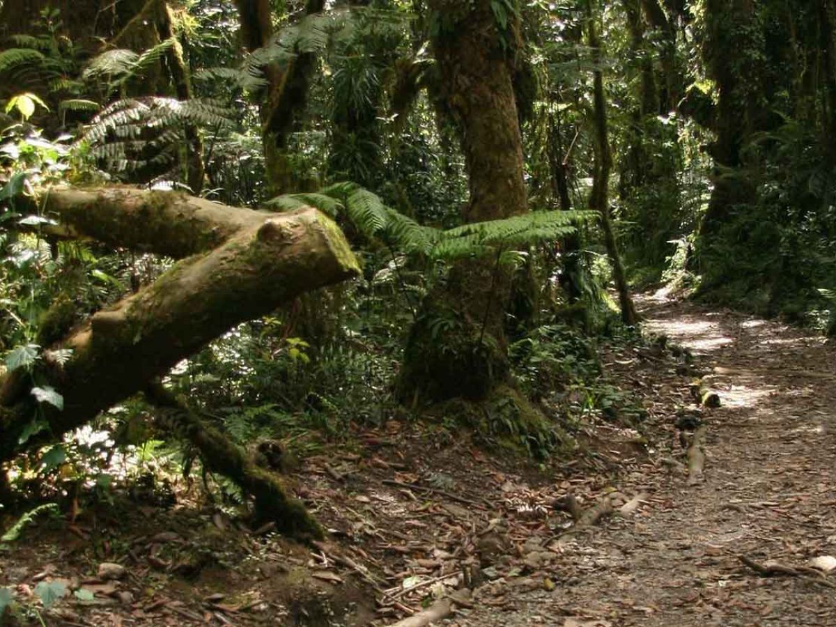 Whether you’re looking to take a day off to escape from your busy schedule or you have no plans before your evening flight and you want to do something adventurous, our day trips are the solution.