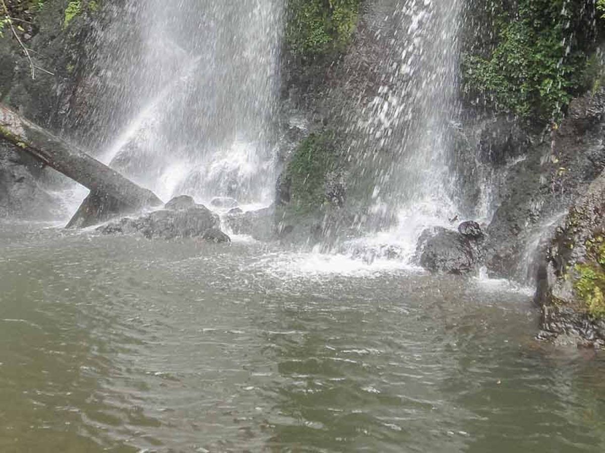 Whether you’re looking to take a day off to escape from your busy schedule or you have no plans before your evening flight and you want to do something adventurous, our day trips are the solution.