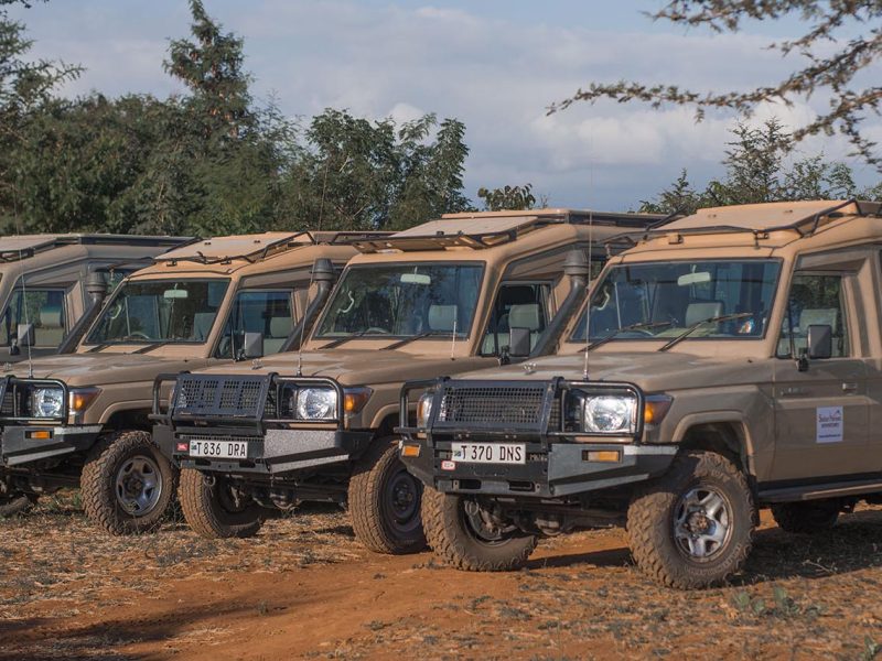5 Days Tanzania Safari with a Mixer of Luxury and Budget Lodge Experience