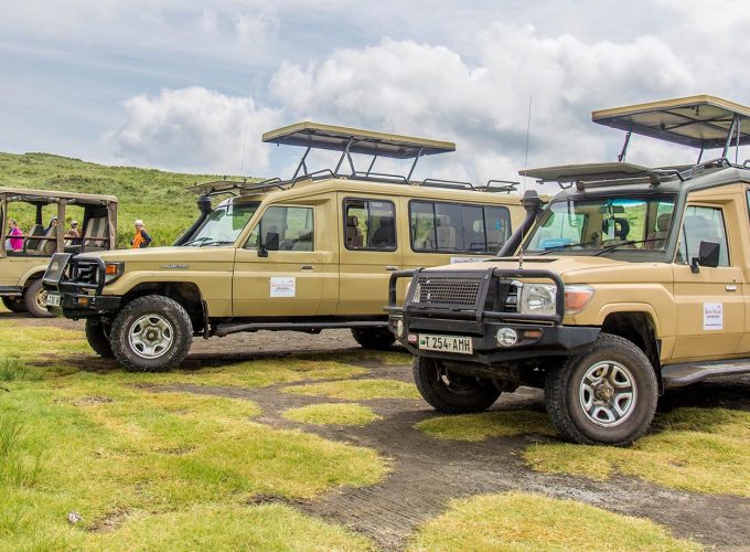 Camping Safari