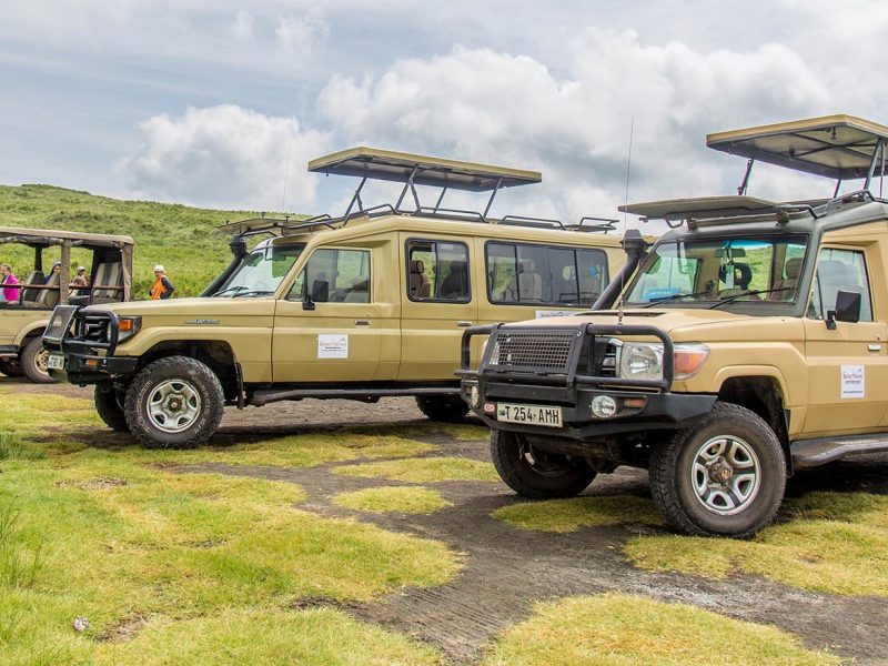 Camping Safari