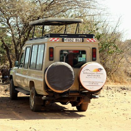 Tanzania Luxury Wildebeest Migration, Wildebeest Migration Western Corridor, Serengeti Kogatende Migration, Amazing Northern Tanzania Safari, Off Road Northern Tanzania, Tanzania Honeymoon Safari, Safari To Lake Manyara, Serengeti Mid-Range Lodge Safari, Camping Safari
