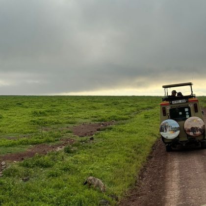 Amazing Northern Tanzania Safari, Off Road Northern Tanzania, Tanzania Honeymoon Safari, Safari To Lake Manyara, Serengeti Mid-Range Lodge Safari, Camping Safari