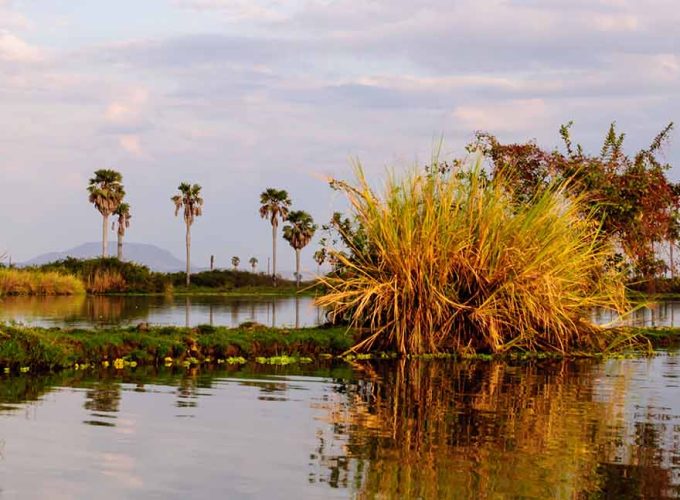 6 Days Sport Fishing Safari Experience in Nyerere National Park (Selous Game Reserve) in Southern Tanzania