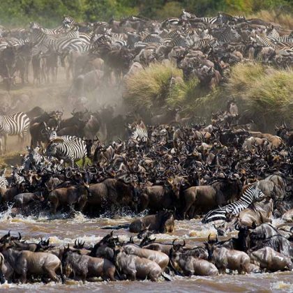 Photographic Safari, Tanzania Luxury Wildebeest Migration, Wildebeest Migration Western Corridor, Serengeti Kogatende Migration, Serengeti Mid-Range Lodge Safari