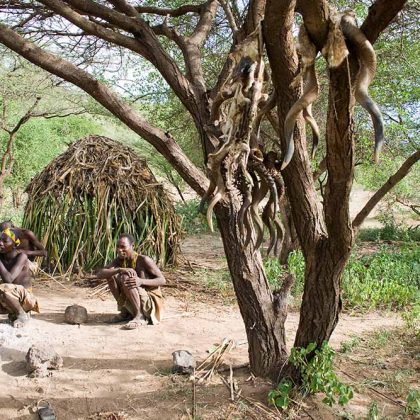 Amazing Northern Tanzania Safari with Cultural Taste, Off Road Northern Tanzania