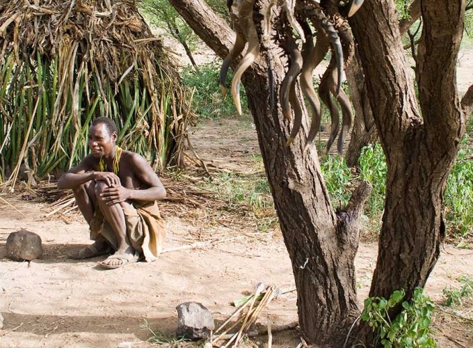 Amazing Northern Tanzania Safari