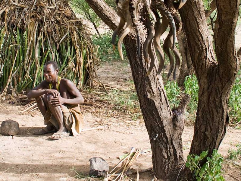 Amazing Northern Tanzania Safari
