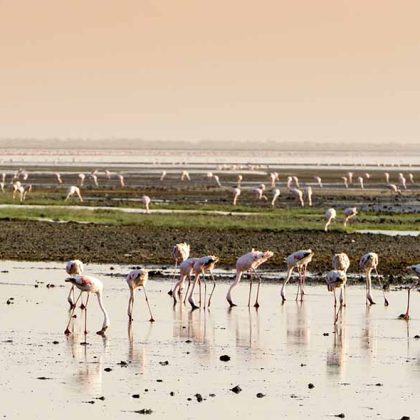 Off Road Northern Tanzania Lakes Tour
