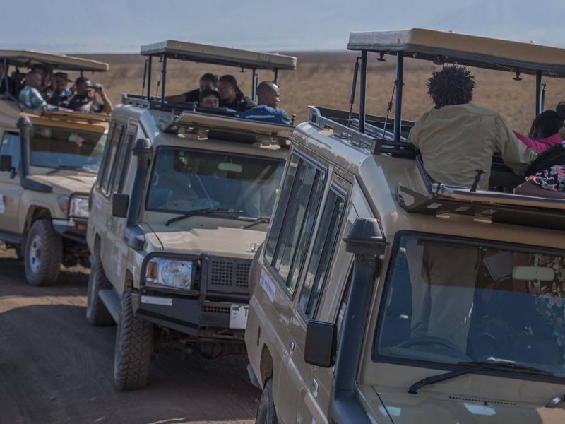 3 Days Unforgettable Serengeti Mid-Range Lodge Safari