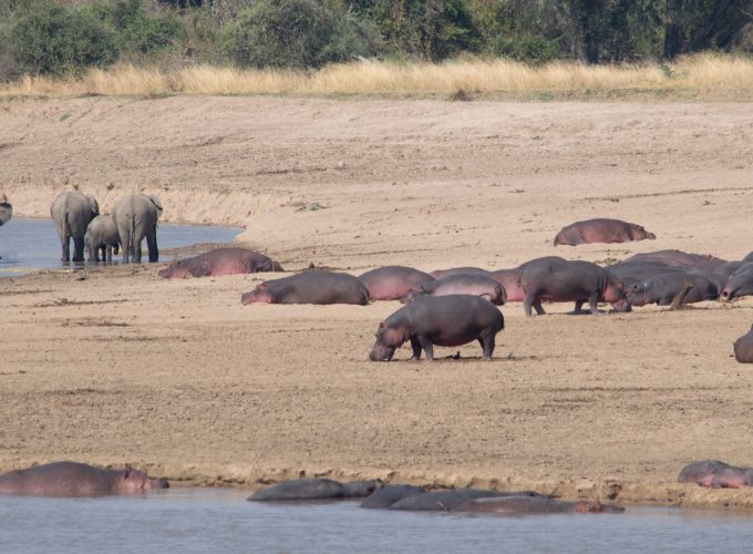 15 Days Stunning Malawi and Zambia Adventure Safari Tour
