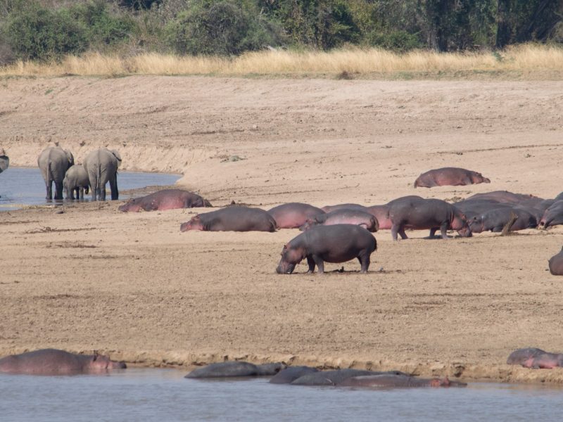15 Days Stunning Malawi and Zambia Adventure Safari Tour