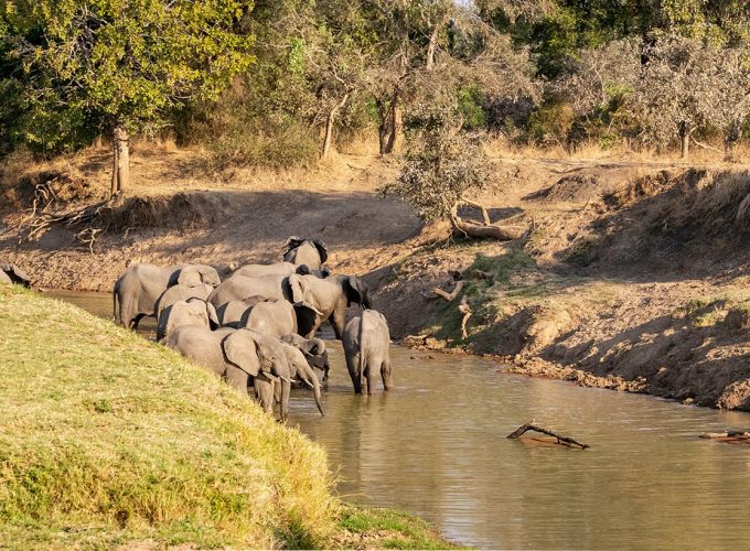 8 Days Absolute South Luangwa Photographic Safari