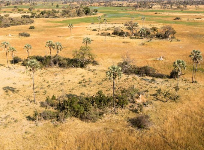5 Days Classic Safari in Hwange National Park, Zimbabwe
